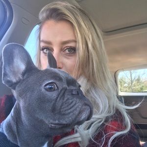 MEET THE POSHER 💚